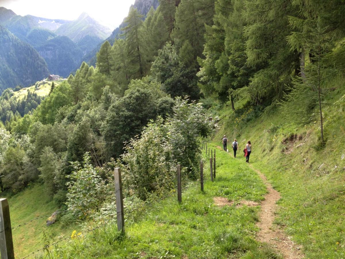 Bel'Vue Bed & Breakfast Lienz Dış mekan fotoğraf